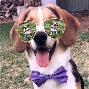 Meet your Posher, Robyn